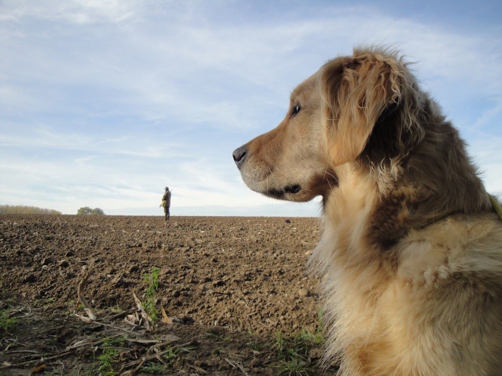 Chasse